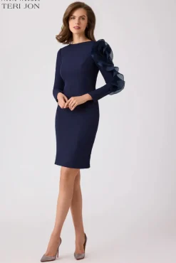 Crepe Taffeta One Applique Sleeve Dress