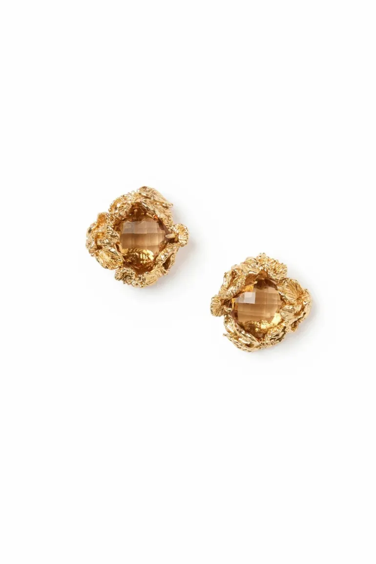 Encrusted Stud Earrings