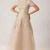 Roll Neck Cap Sleeve Metallic Organza Jacquard Gown