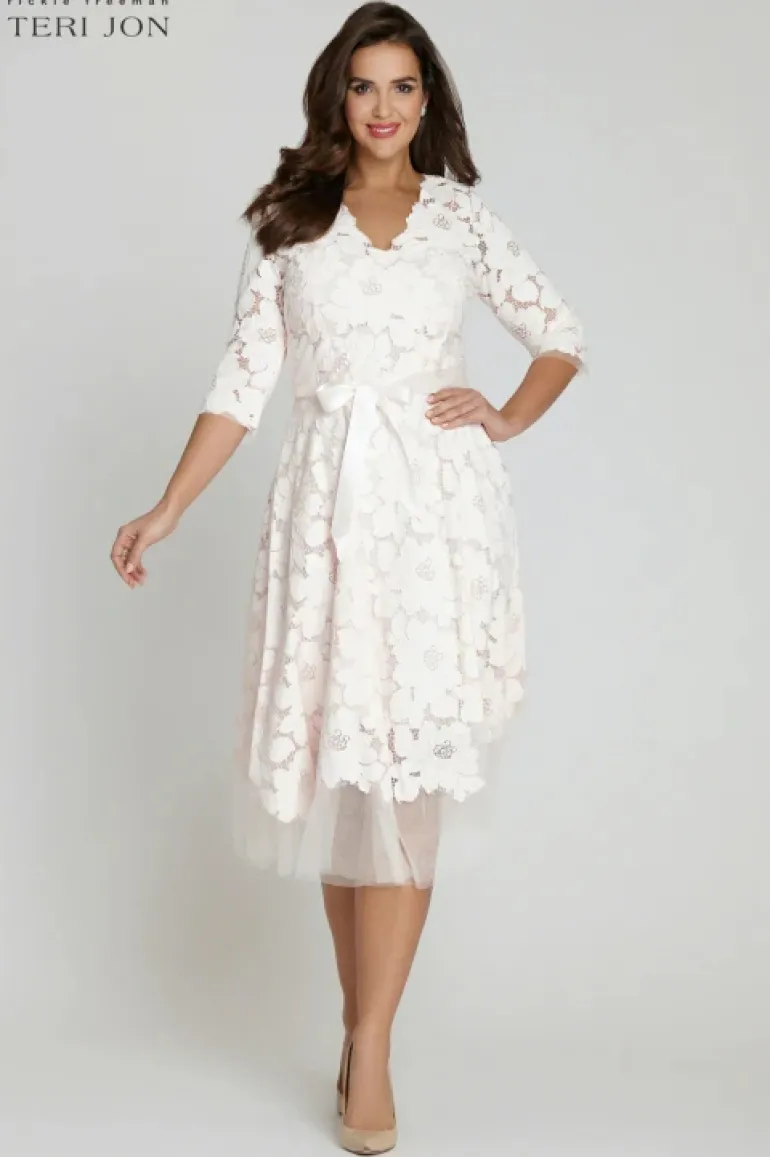 3/4 Sleeve Lace and Tulle Fit And Flare Dress